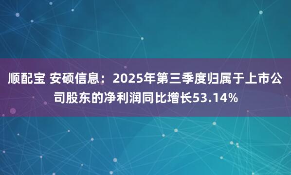 顺配宝 安硕信息：2025年第三季度归属于上市公司股东的净利润同比增长53.14%