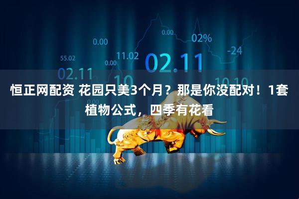 恒正网配资 花园只美3个月？那是你没配对！1套植物公式，四季有花看