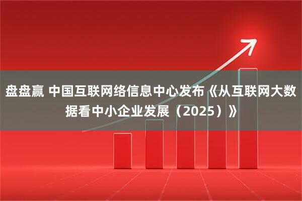 盘盘赢 中国互联网络信息中心发布《从互联网大数据看中小企业发展（2025）》