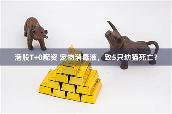 港股T+0配资 宠物消毒液，致5只幼猫死亡？